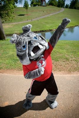 The Gardner Webb College Mascot: Spreading School Pride Near and Far
